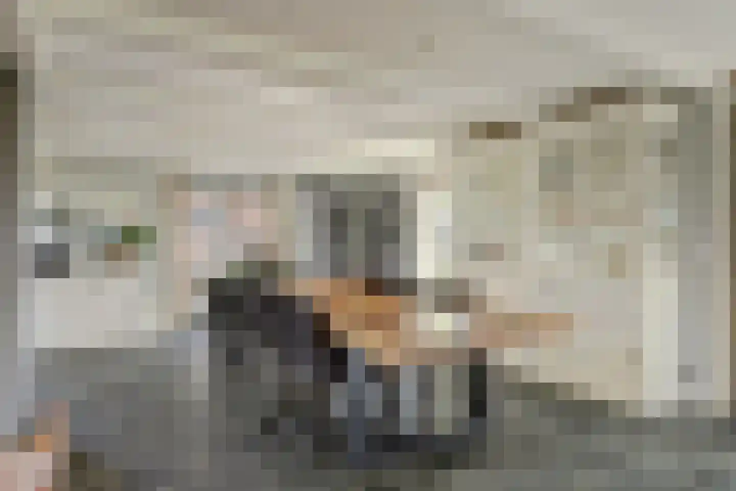 Terdiek 11 Nieuwe Niedorp thumbnail 22