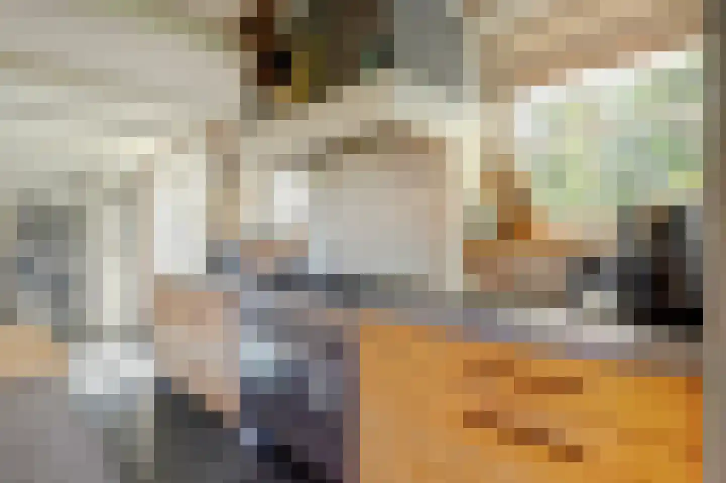 Terdiek 11 Nieuwe Niedorp thumbnail 24