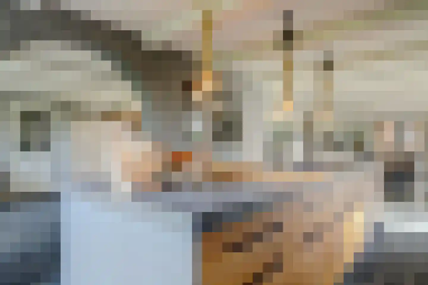 Terdiek 11 Nieuwe Niedorp thumbnail 26