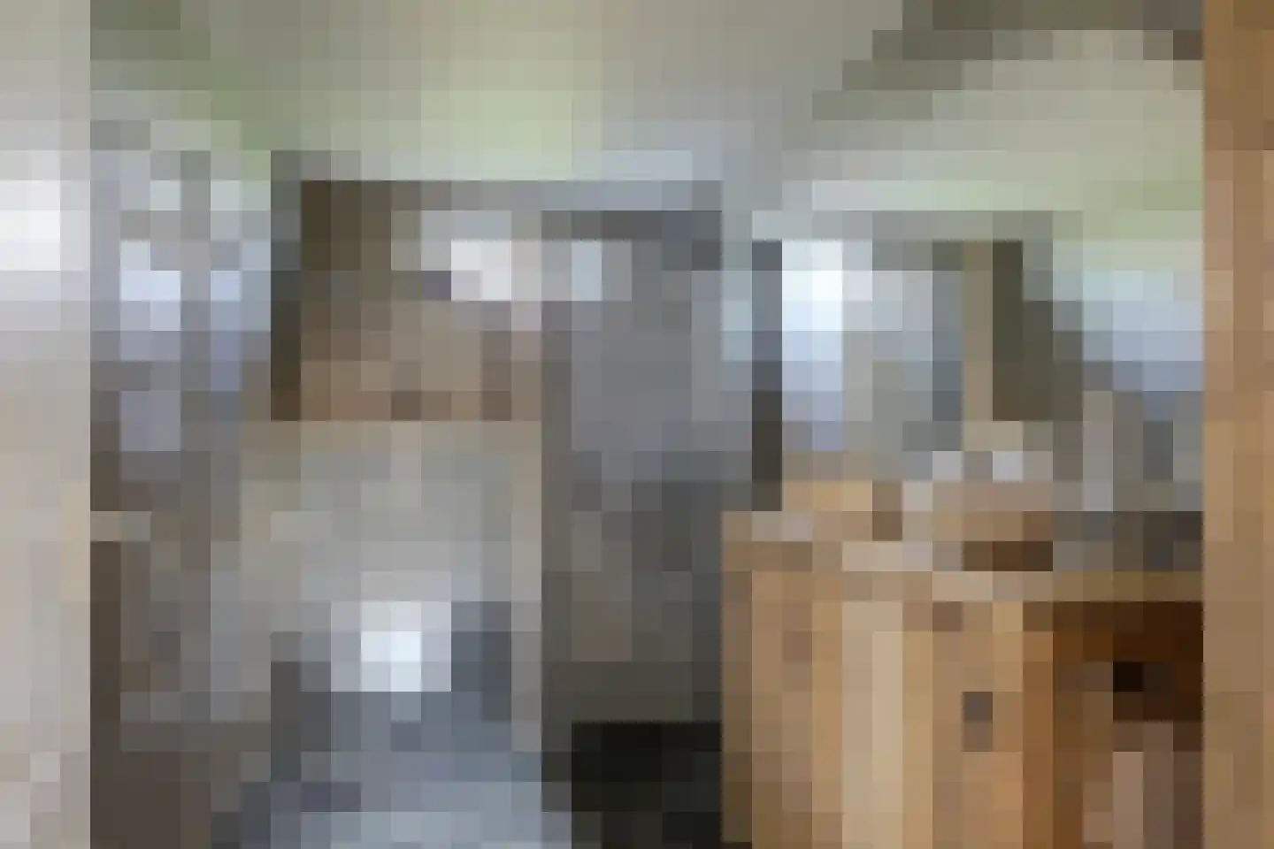Terdiek 11 Nieuwe Niedorp thumbnail 35