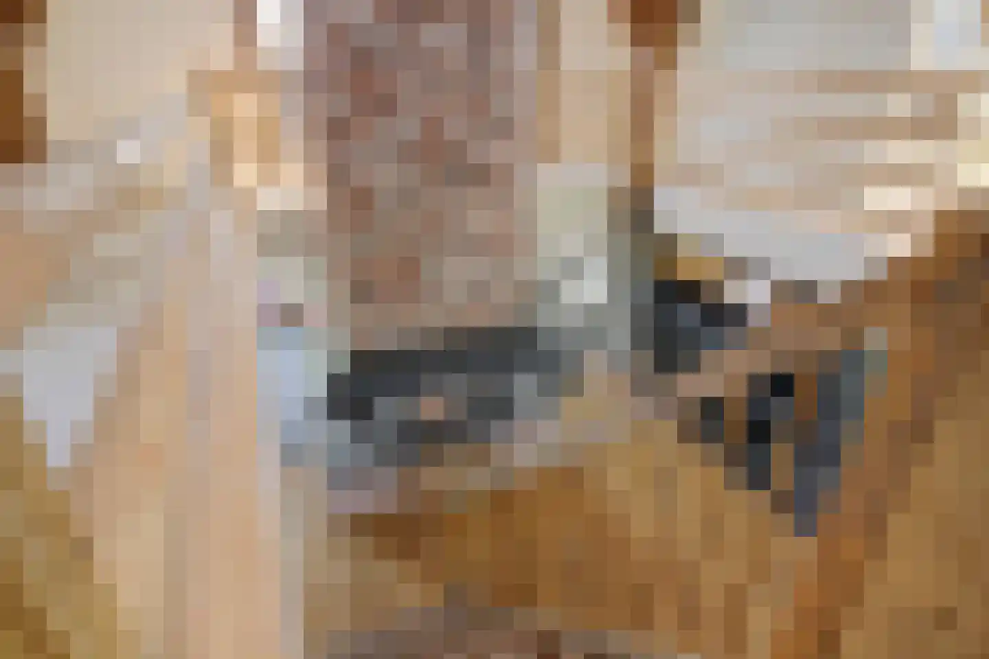 Terdiek 11 Nieuwe Niedorp thumbnail 39
