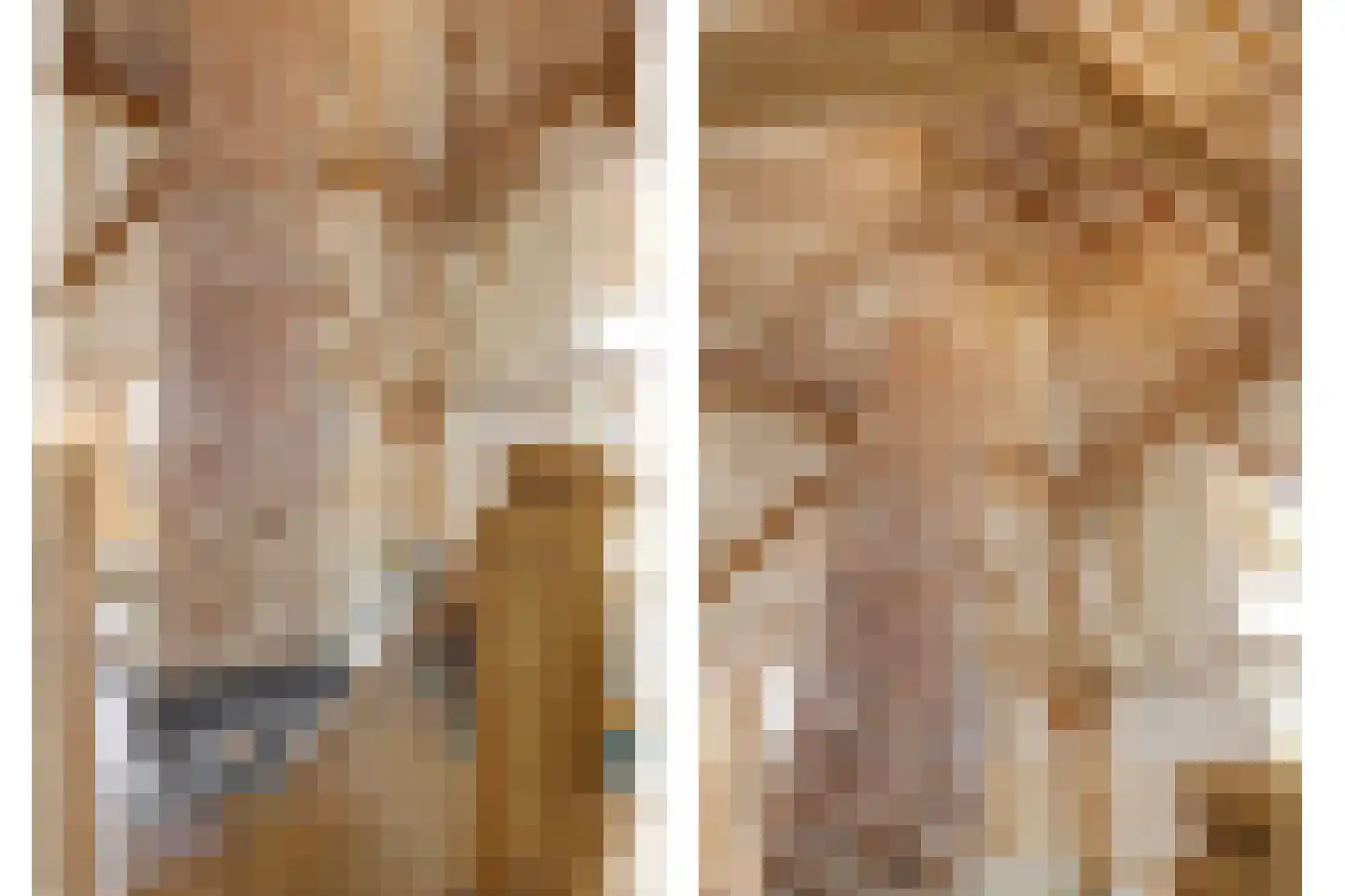 Terdiek 11 Nieuwe Niedorp thumbnail 4