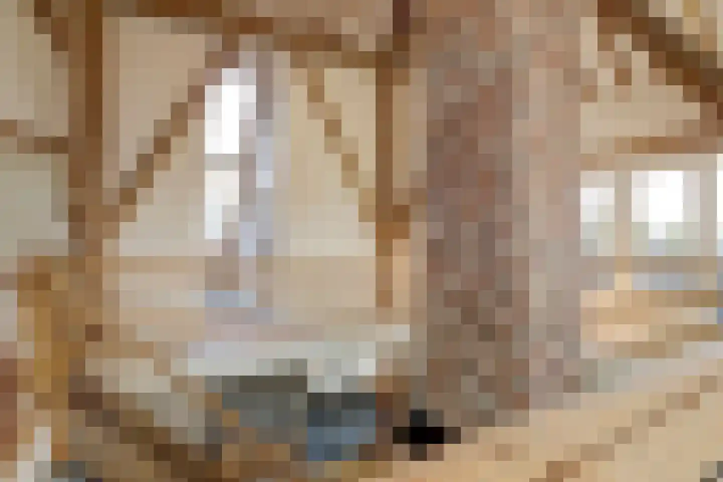 Terdiek 11 Nieuwe Niedorp thumbnail 40