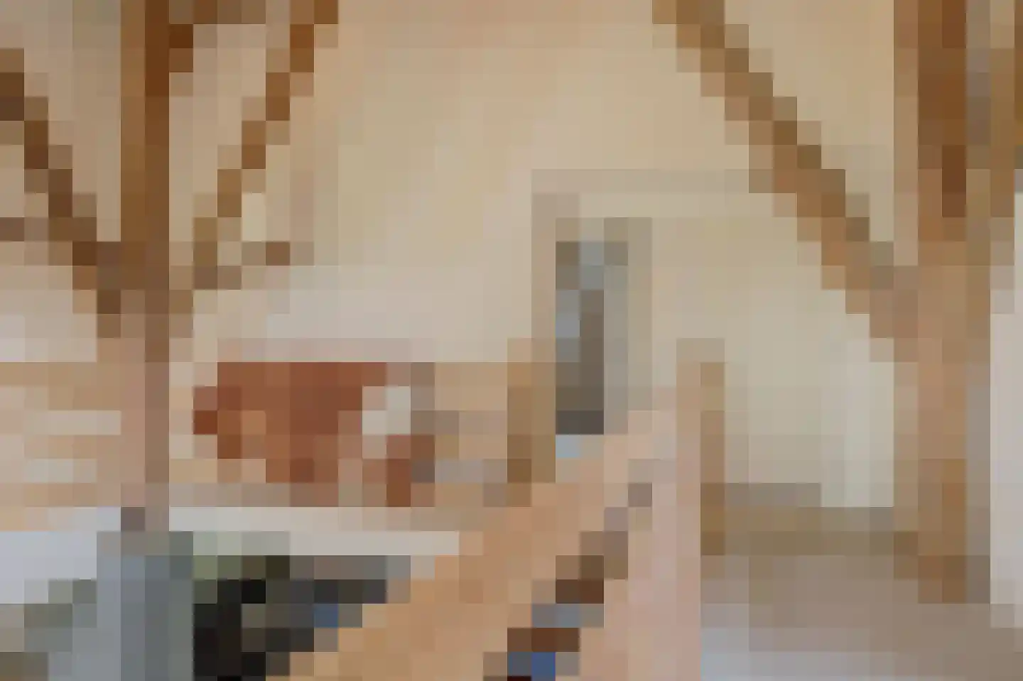 Terdiek 11 Nieuwe Niedorp thumbnail 41