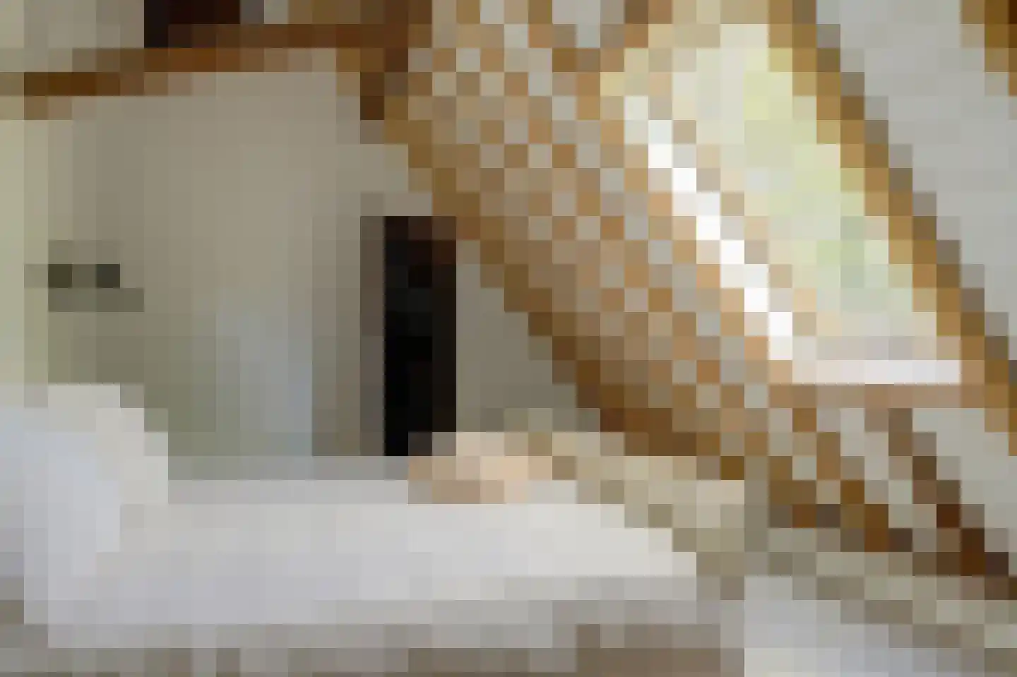 Terdiek 11 Nieuwe Niedorp thumbnail 45