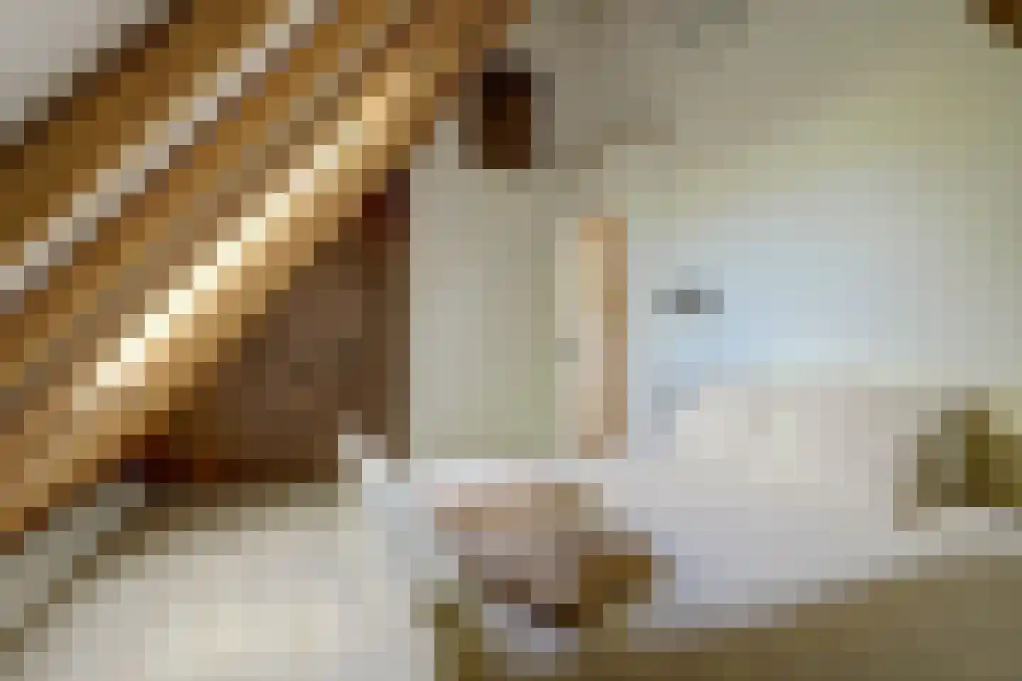 Terdiek 11 Nieuwe Niedorp thumbnail 46