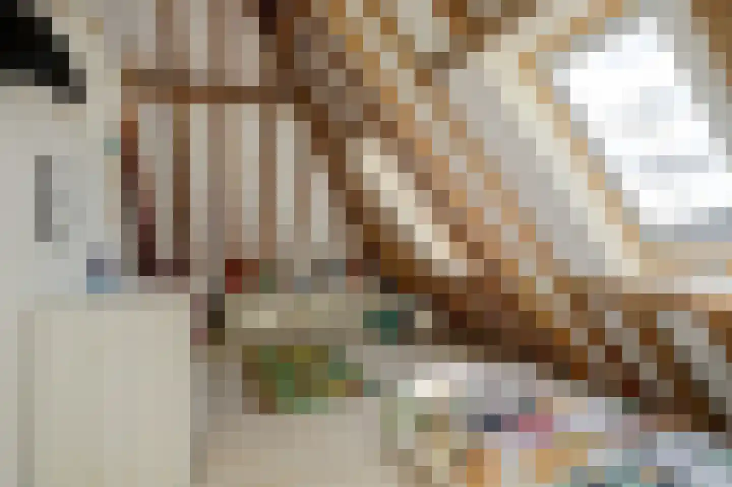 Terdiek 11 Nieuwe Niedorp thumbnail 52