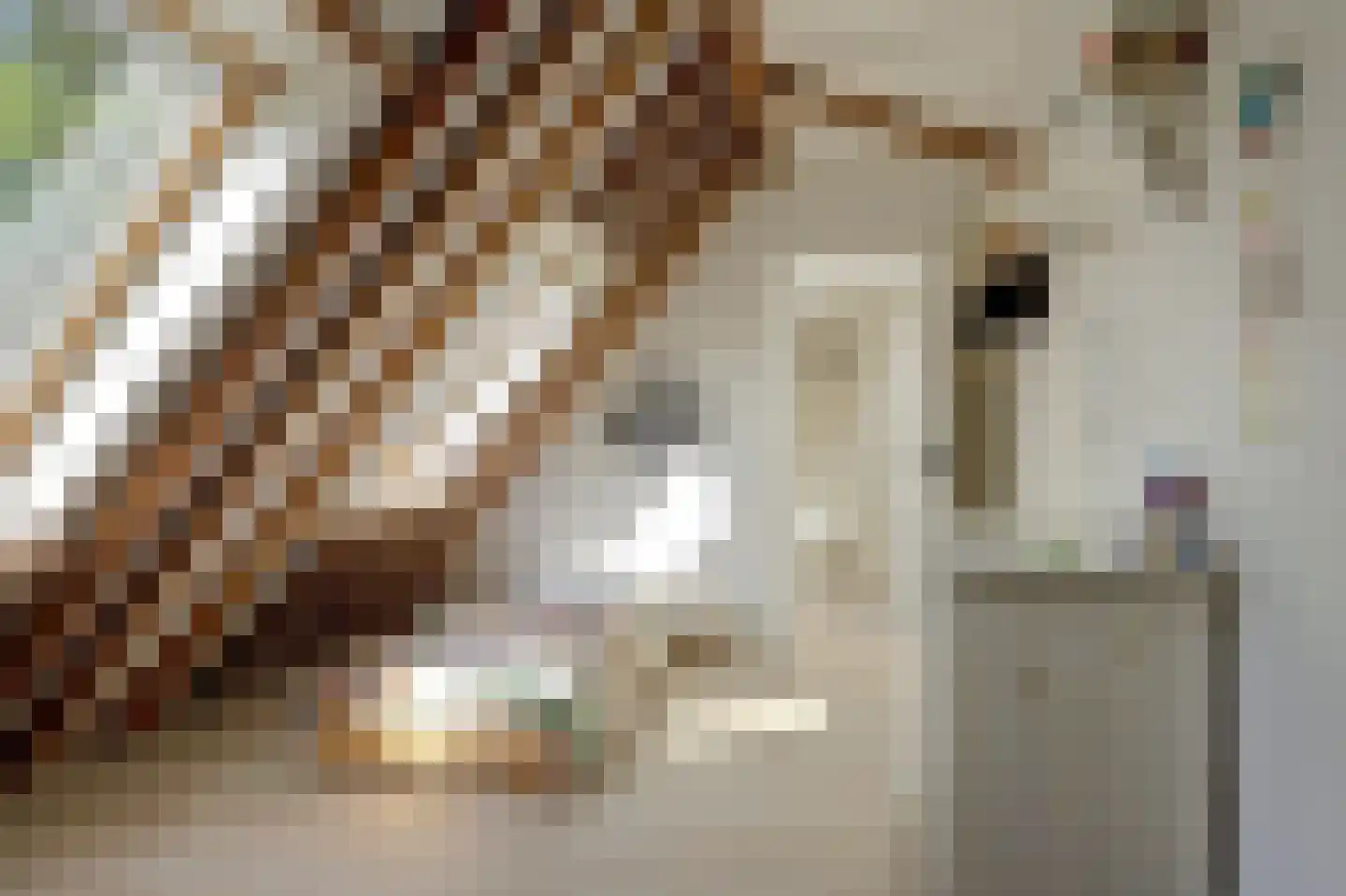 Terdiek 11 Nieuwe Niedorp thumbnail 53