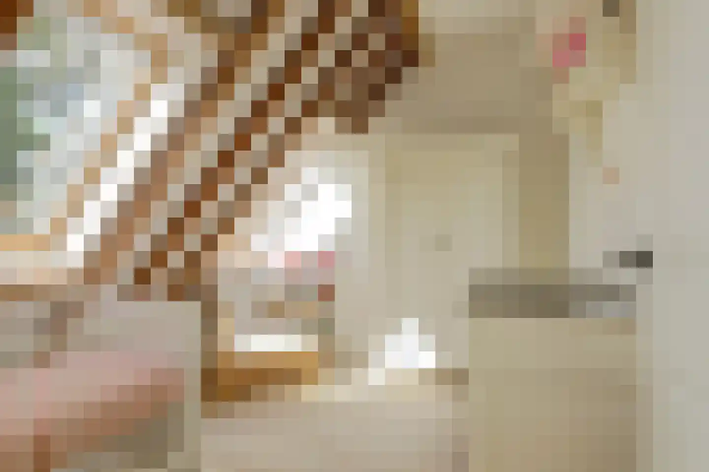 Terdiek 11 Nieuwe Niedorp thumbnail 54