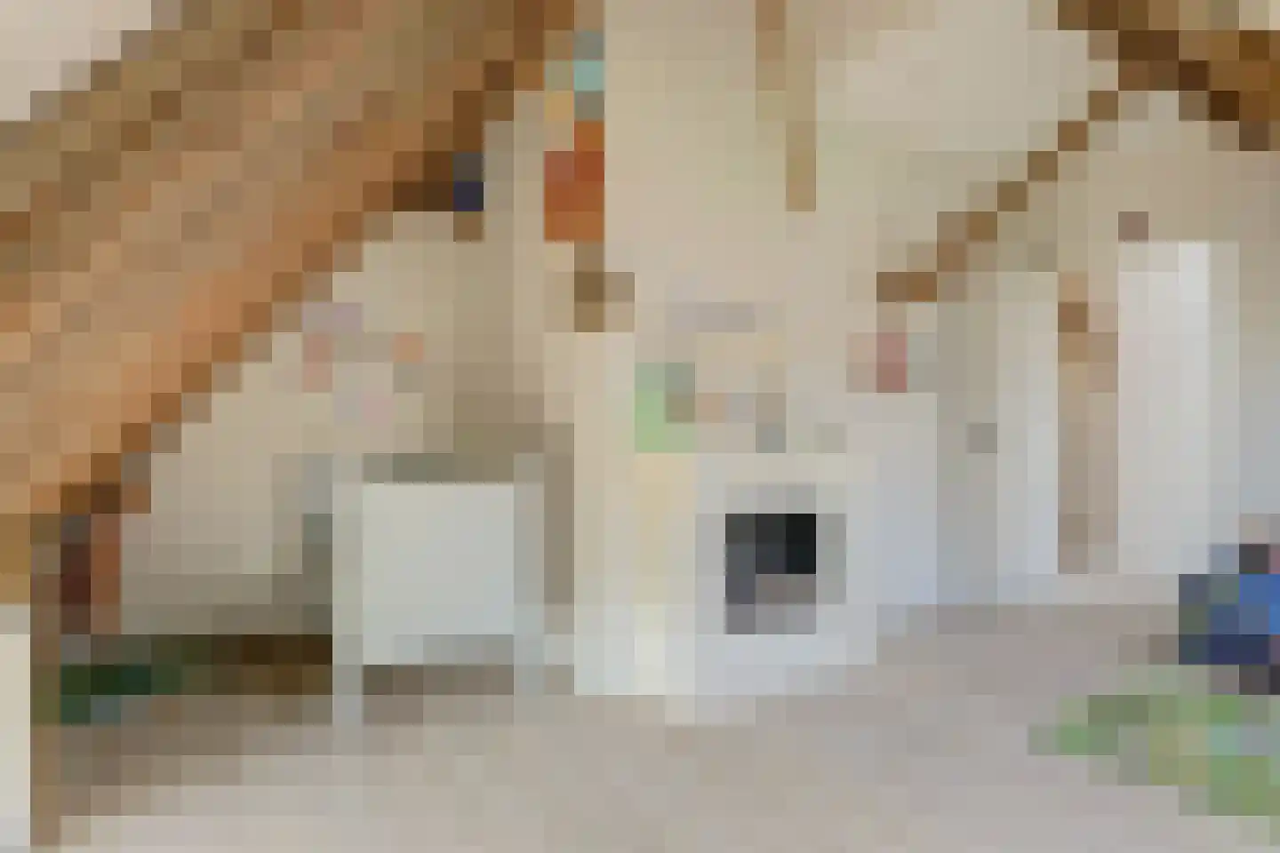 Terdiek 11 Nieuwe Niedorp thumbnail 58