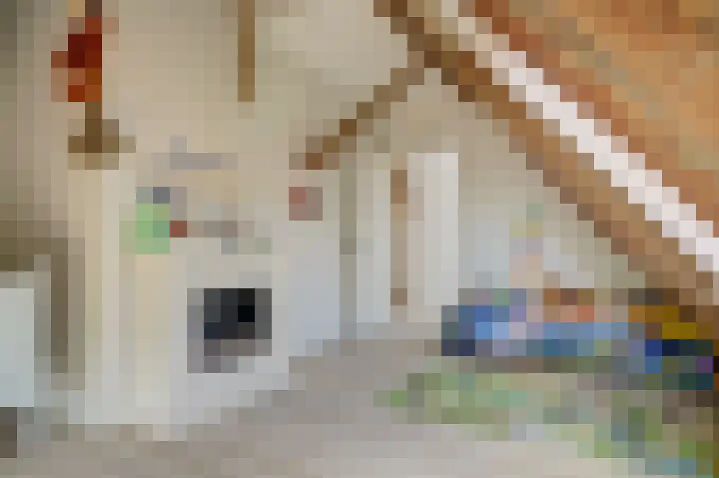 Terdiek 11 Nieuwe Niedorp thumbnail 59
