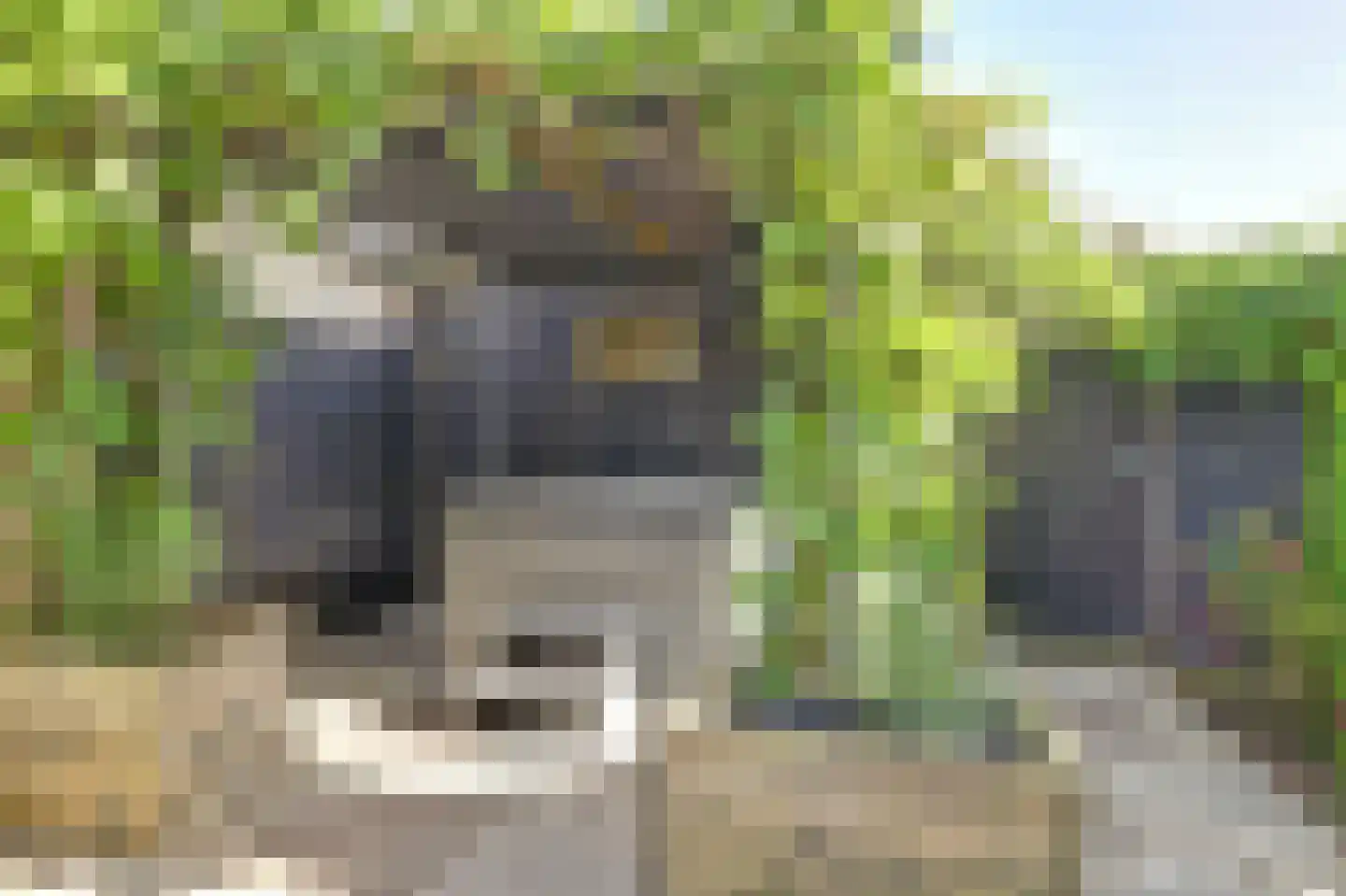 Terdiek 11 Nieuwe Niedorp thumbnail 67