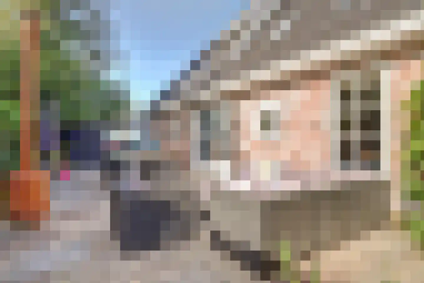 Terdiek 11 Nieuwe Niedorp thumbnail 69