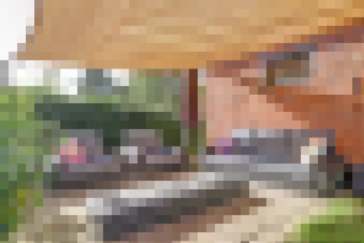 Terdiek 11 Nieuwe Niedorp thumbnail 72