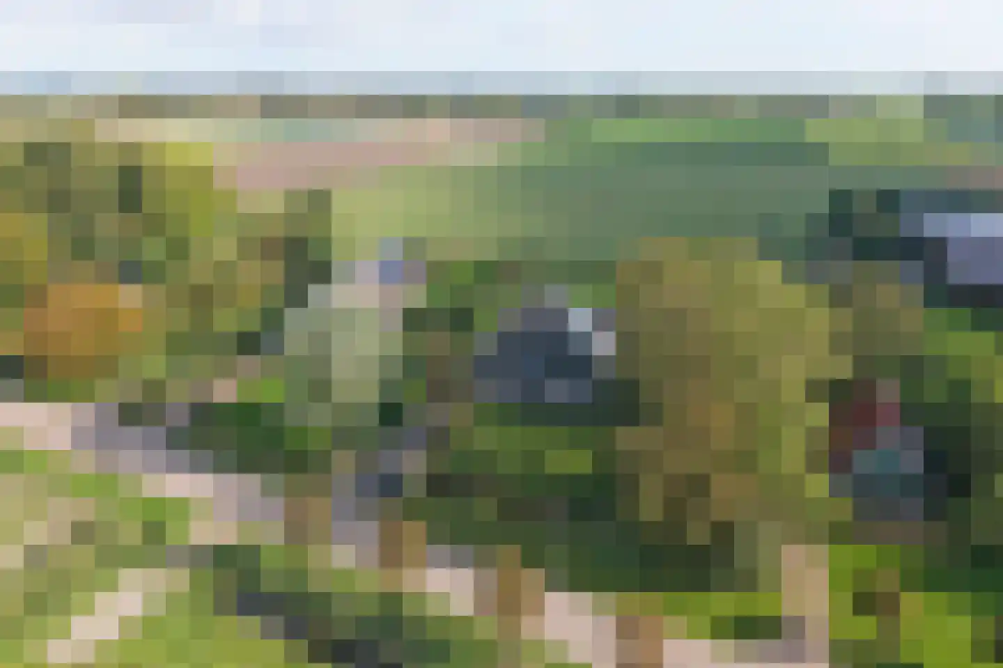 Terdiek 11 Nieuwe Niedorp thumbnail 79