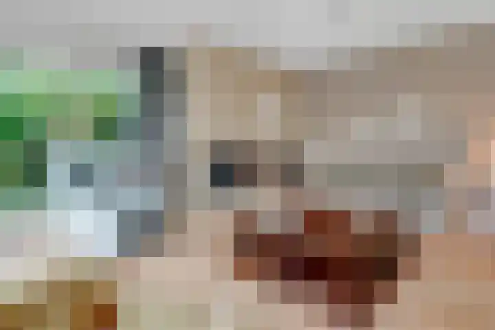 Terentiuslaan 3 Utrecht thumbnail 10