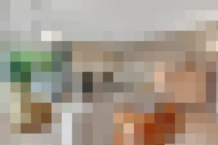 Terentiuslaan 3 Utrecht thumbnail 11