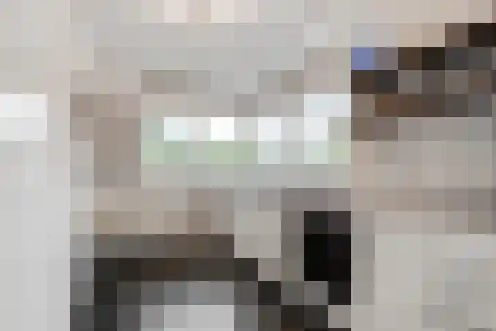 Terentiuslaan 3 Utrecht thumbnail 16