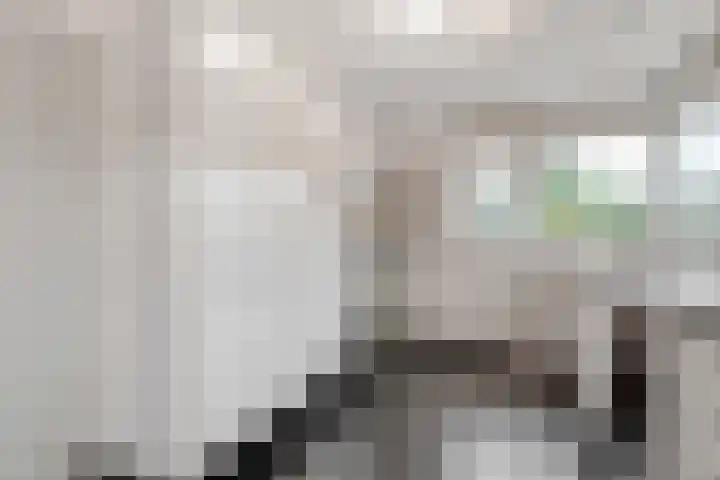 Terentiuslaan 3 Utrecht thumbnail 17