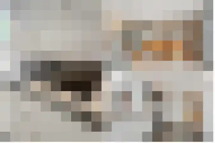 Terentiuslaan 3 Utrecht thumbnail 20