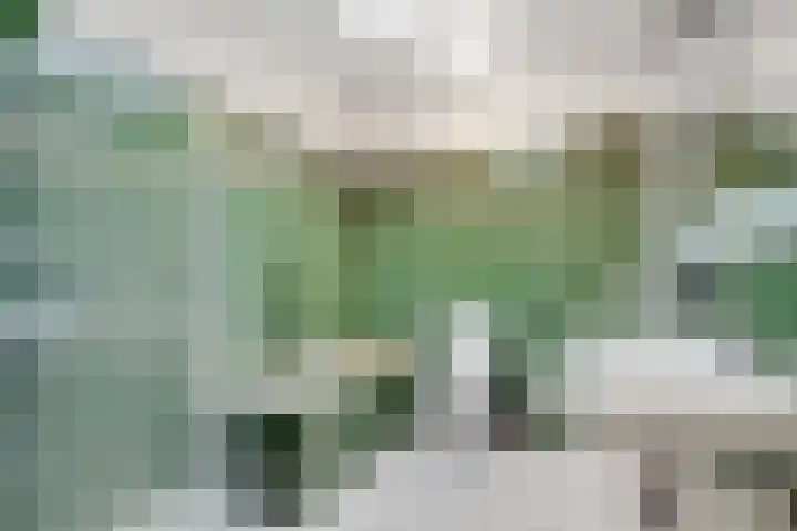 Terentiuslaan 3 Utrecht thumbnail 25