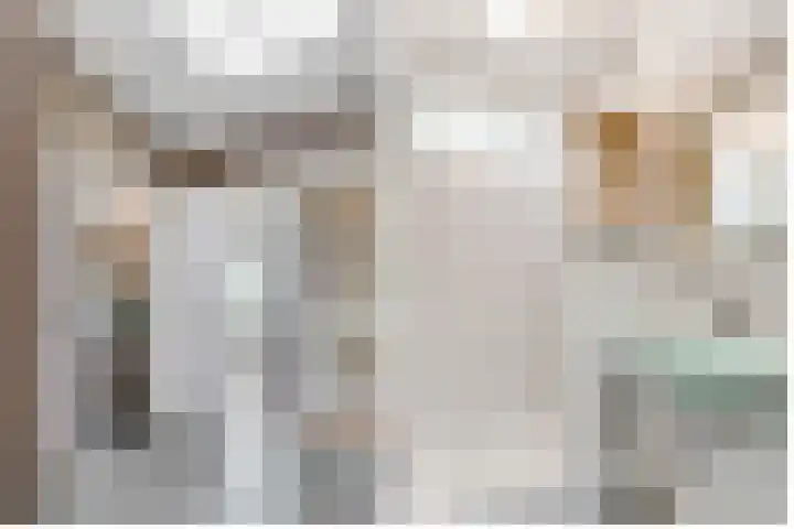 Terentiuslaan 3 Utrecht thumbnail 32