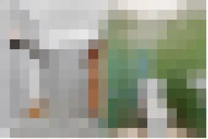 Terentiuslaan 3 Utrecht thumbnail 34