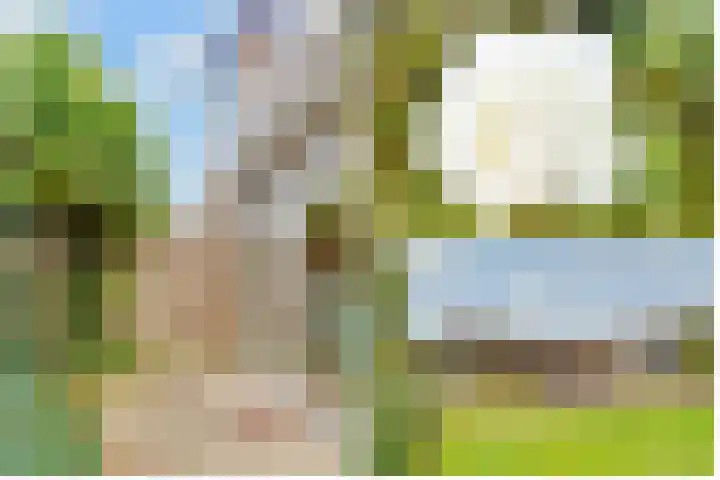 Terentiuslaan 3 Utrecht thumbnail 38