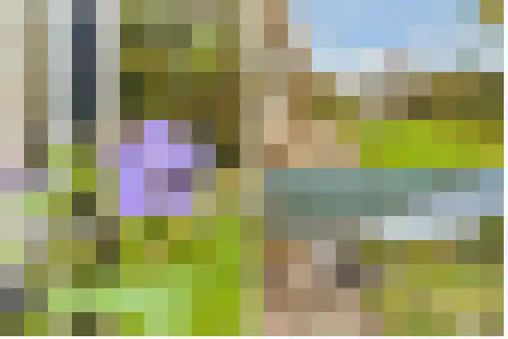 Terentiuslaan 3 Utrecht thumbnail 39