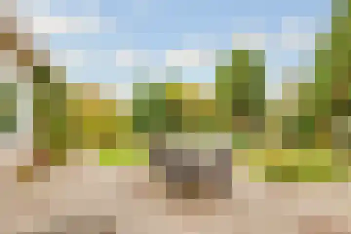 Terentiuslaan 3 Utrecht thumbnail 40