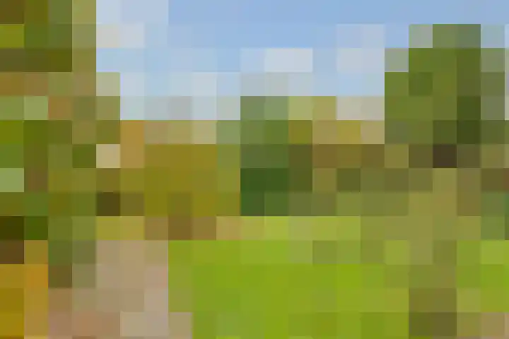 Terentiuslaan 3 Utrecht thumbnail 41