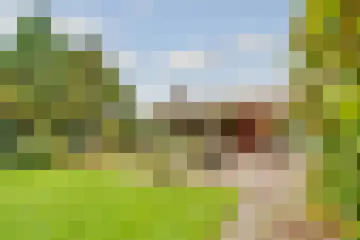 Terentiuslaan 3 Utrecht thumbnail 42