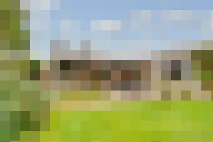 Terentiuslaan 3 Utrecht thumbnail 43