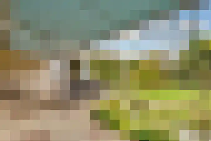 Terentiuslaan 3 Utrecht thumbnail 44