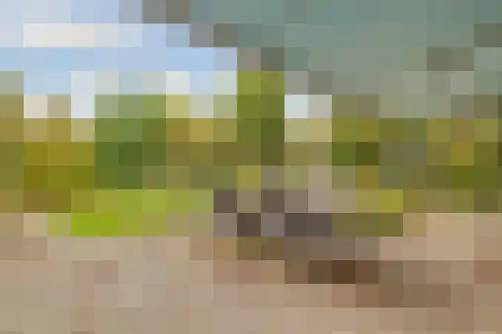 Terentiuslaan 3 Utrecht thumbnail 45