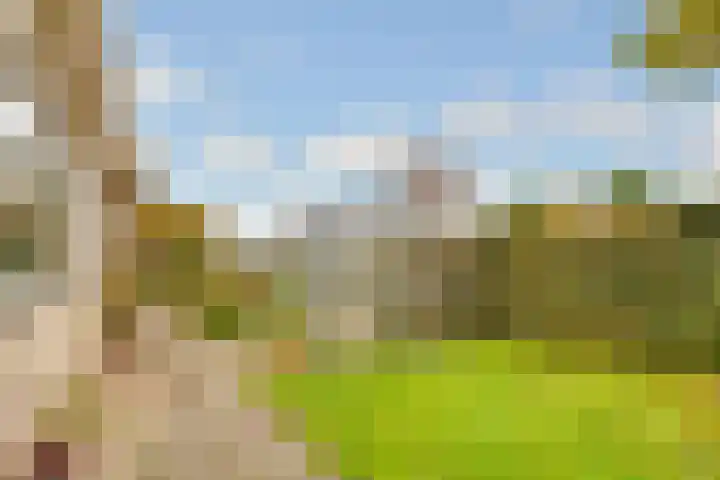 Terentiuslaan 3 Utrecht thumbnail 46
