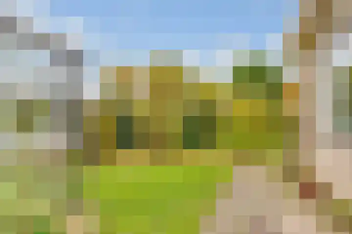 Terentiuslaan 3 Utrecht thumbnail 47