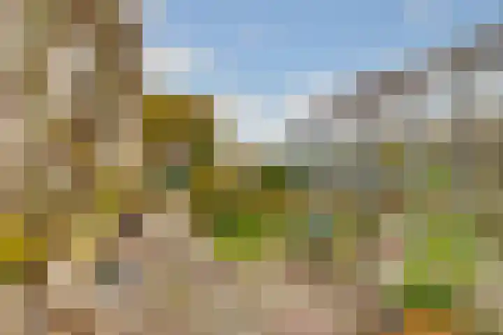 Terentiuslaan 3 Utrecht thumbnail 48