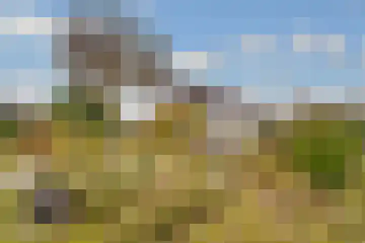 Terentiuslaan 3 Utrecht thumbnail 49