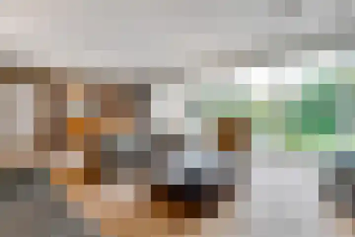 Terentiuslaan 3 Utrecht thumbnail 5