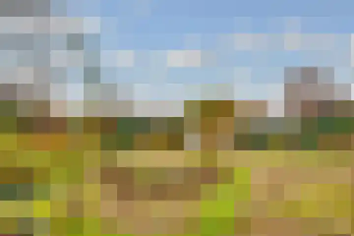 Terentiuslaan 3 Utrecht thumbnail 50