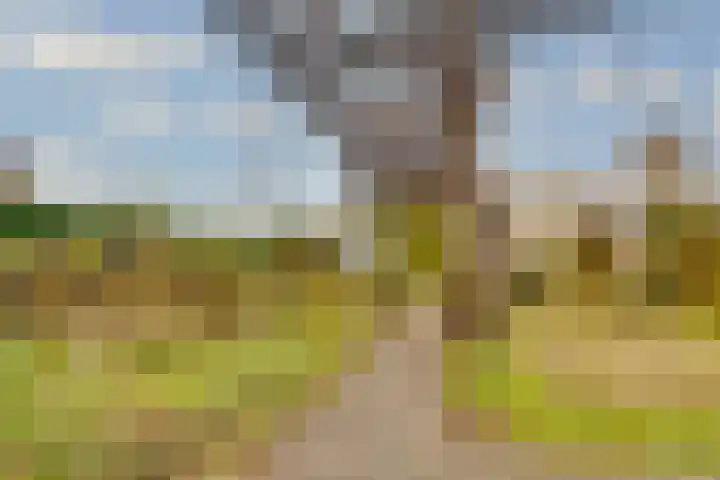 Terentiuslaan 3 Utrecht thumbnail 51