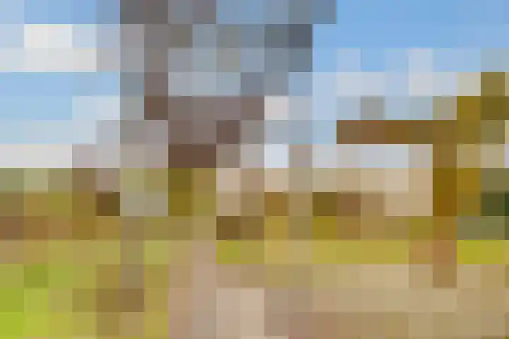 Terentiuslaan 3 Utrecht thumbnail 52
