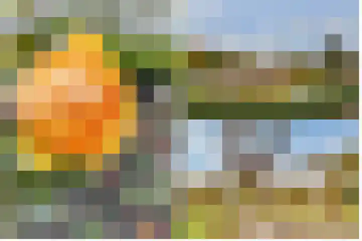 Terentiuslaan 3 Utrecht thumbnail 53