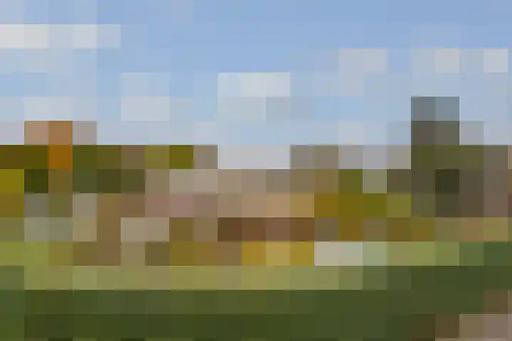 Terentiuslaan 3 Utrecht thumbnail 54