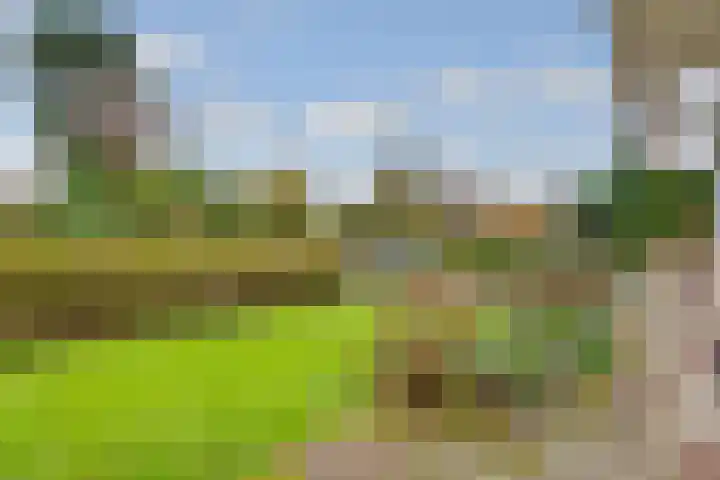 Terentiuslaan 3 Utrecht thumbnail 56