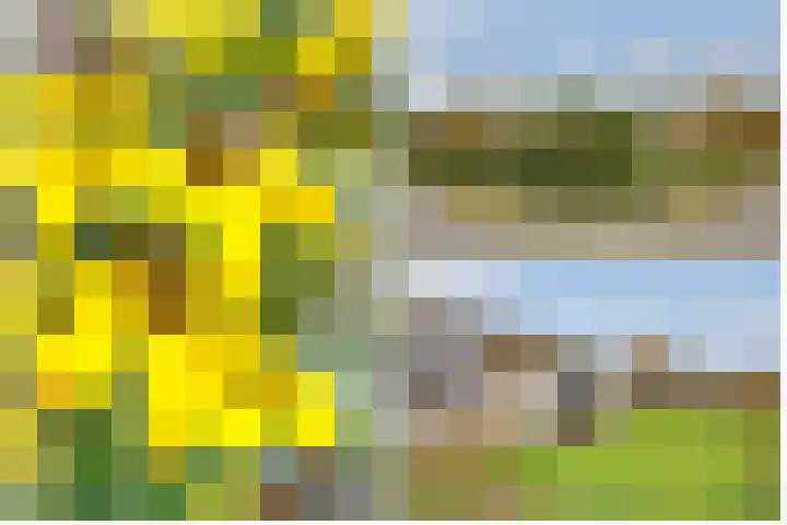 Terentiuslaan 3 Utrecht thumbnail 57