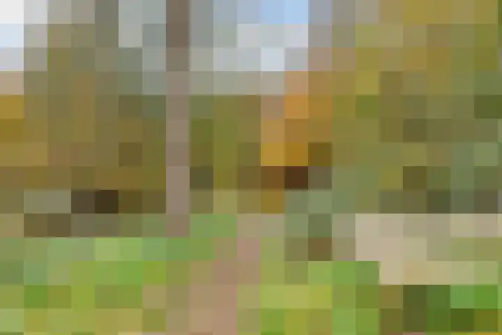 Terentiuslaan 3 Utrecht thumbnail 58