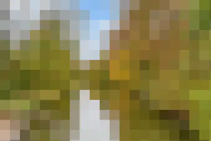 Terentiuslaan 3 Utrecht thumbnail 59