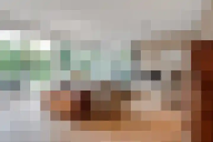 Terentiuslaan 3 Utrecht thumbnail 6